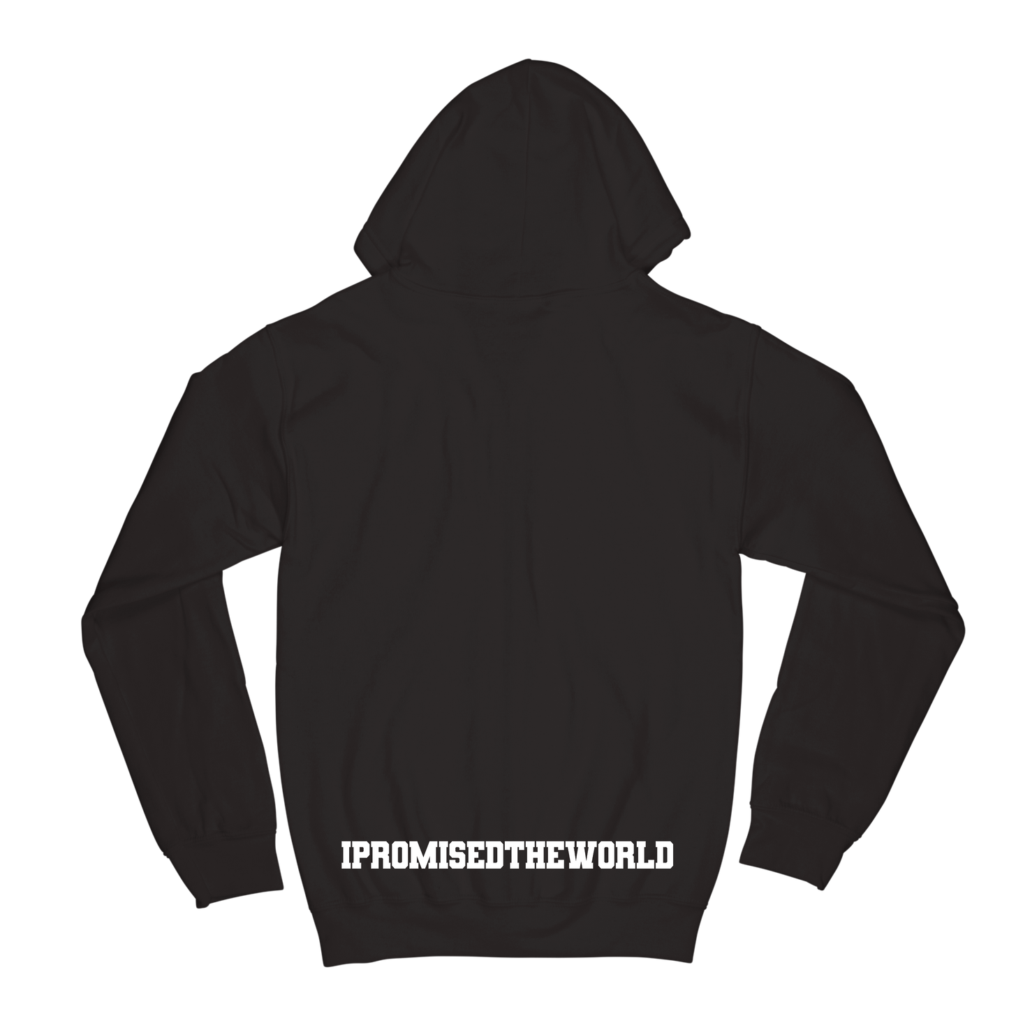 IPTW Zip Hoodie - Black